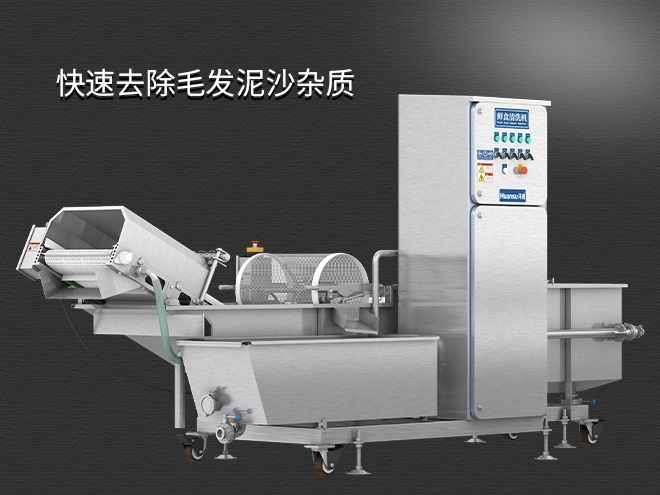 果蔬清洗機制造廠家，氣泡清洗，清洗800kg/小時