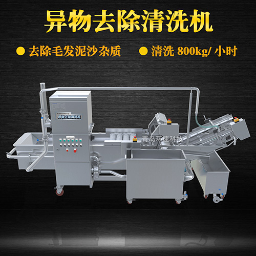 果蔬清洗機設備，氣泡清洗，清洗800kg小時